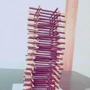 しょーたん