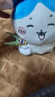 カズキ