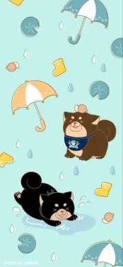 もこたん