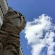 ☺︎ Yu-rio- ☺︎の画像