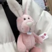 ちゃの画像