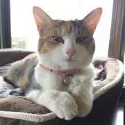 えんの画像
