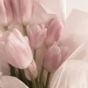 naの画像