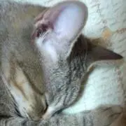 ちぃ