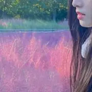 ちーずの画像