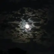 HaRuの画像