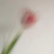 なつみの画像