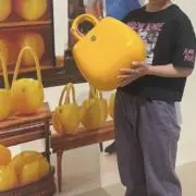 大平の画像