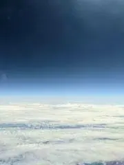 riveの画像