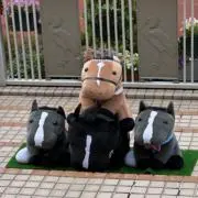 ユナイテッドの画像