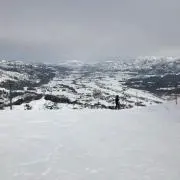 RRの画像