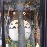 酒井の画像