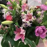 ♡ ハナ(^-^) ♡の画像