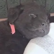 さえ