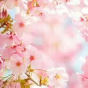 未来