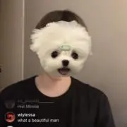 リノの画像