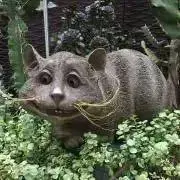 teriyakiの画像