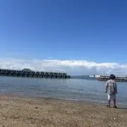 ma7の画像