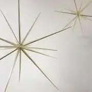 yyyの画像