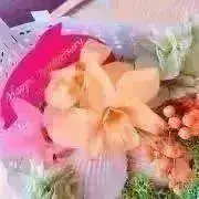 ★ベル★の画像
