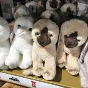 むみ☆の画像