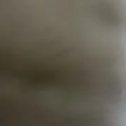 マロン