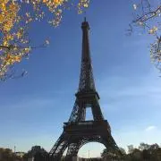 Parisの画像