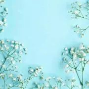 akiの画像