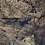 icの画像