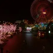 リッキーの画像