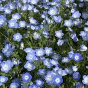 ちゆぽん⭐︎の画像