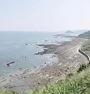 ５５→→