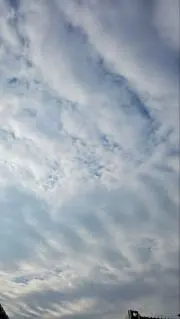 ぽっぽ先生