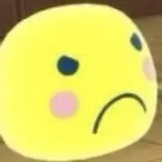 さちの画像