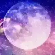 ⭐︎358⭐︎
