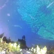 山と文鳥　手芸ビギナー応援します