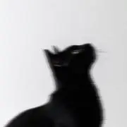 vsnxq