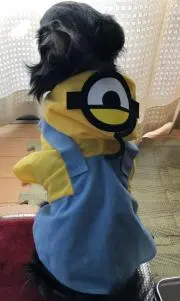 オーラの画像