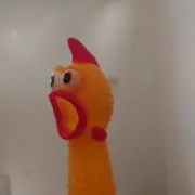 鳥の画像
