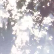 ⟡の画像