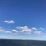 カナブンの画像