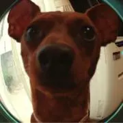 るいの画像