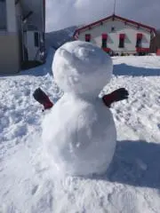 カトエイの画像