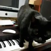 クロちゃん☆プロフ必読
