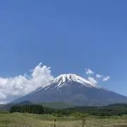 ゆう