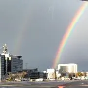 haisyasannの画像