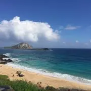 shore〜プロフ必読