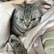 NAOKI