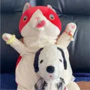 トトロの画像