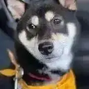 あおい☆プロフ必読⚠️の画像